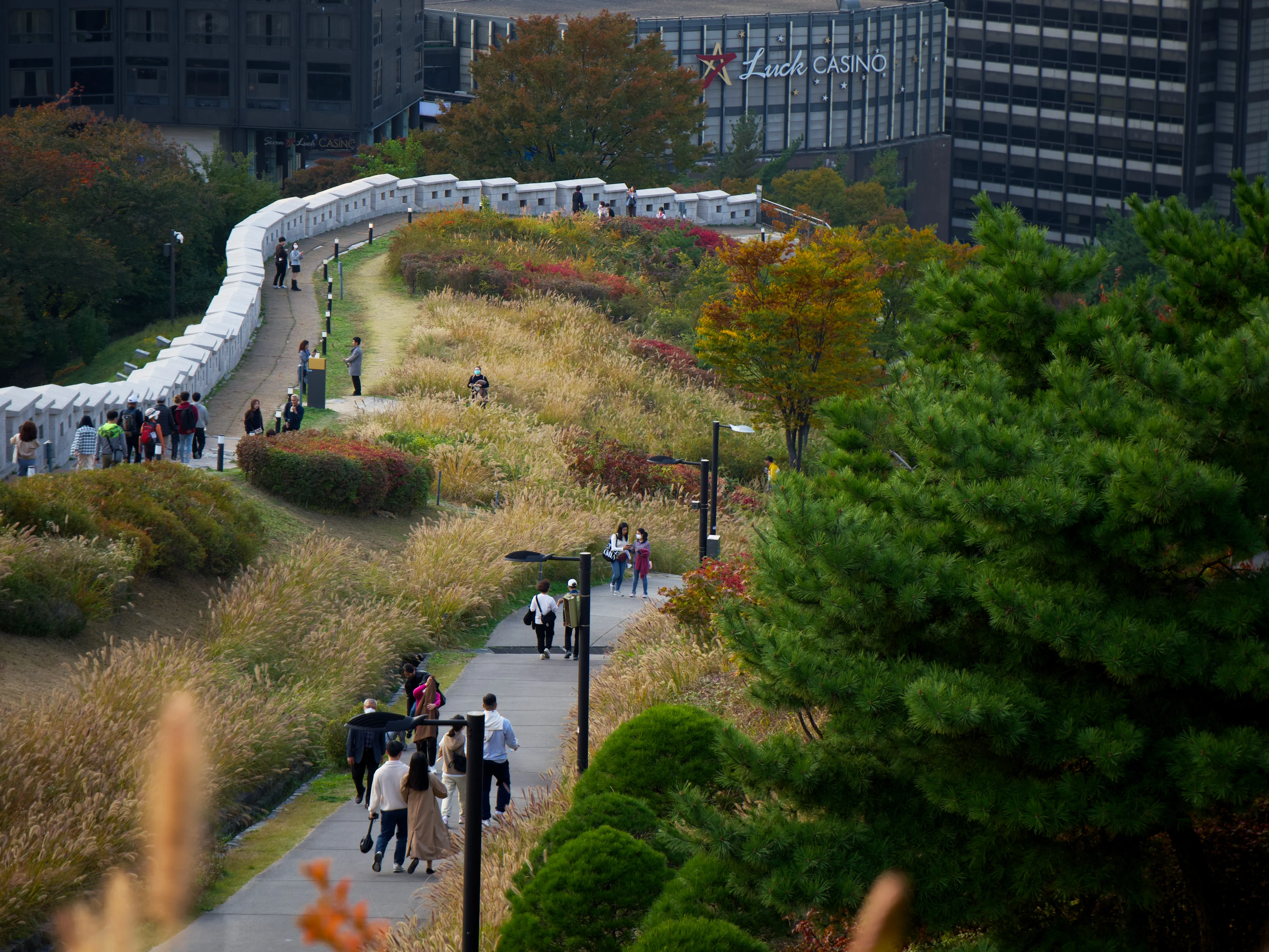 Autumn Foliage - Picture 4